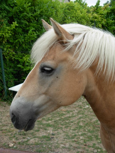 Photo de profil de coco60