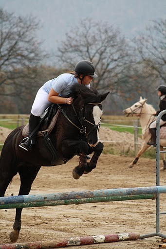 Photo de profil de roxanereccodi