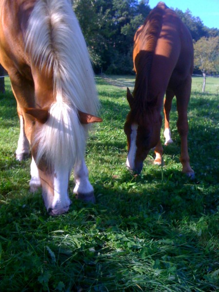 Photo de profil de nouchka67