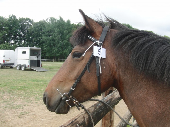 Photo de profil de toscanedesondes