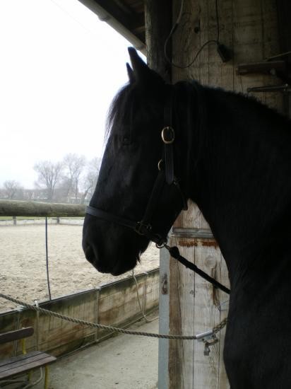 Photo de profil de fannie57