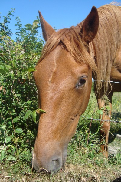 Photo de profil de tenor77
