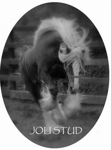 Photo de profil de jolistud