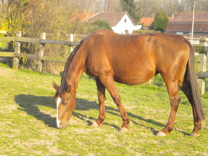 Photo de profil de quentinetwiv
