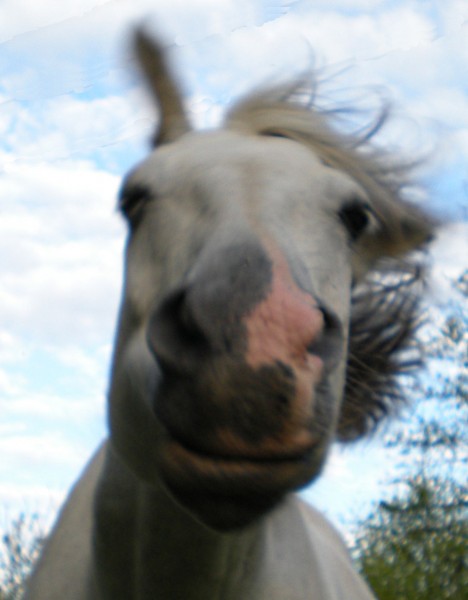 Photo de profil de niag