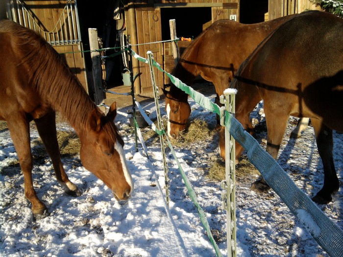 Photo de profil de lobiou