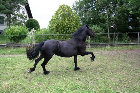 Photo de profil de jadedoudoune