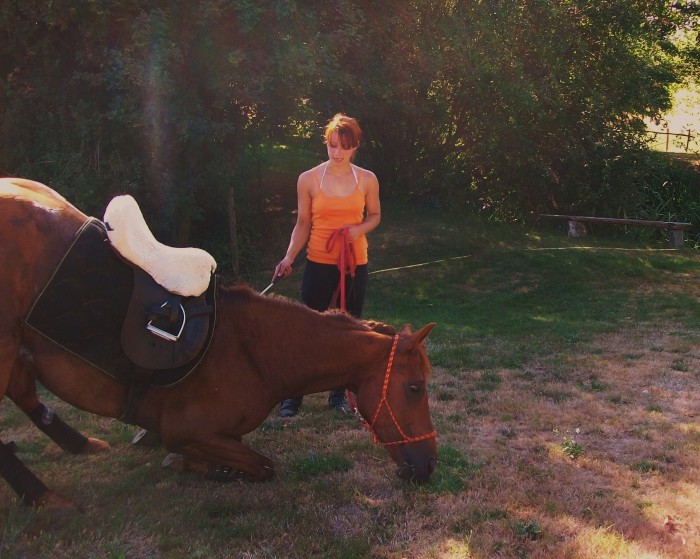 Photo de profil de colombette