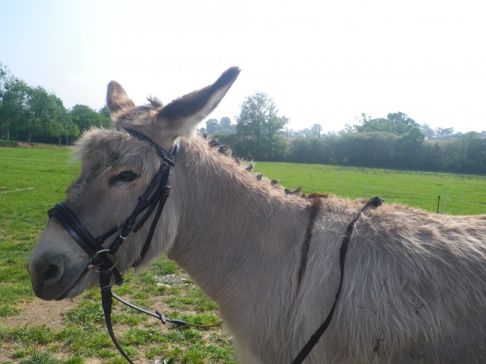 Photo de profil de adriennesou