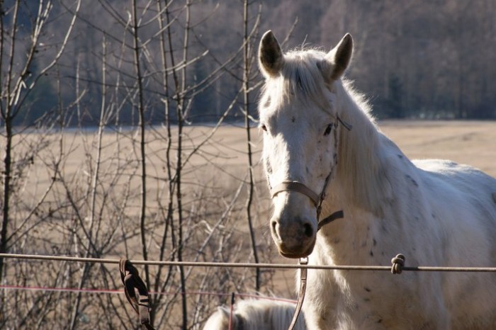 Photo de profil de bellaetrio