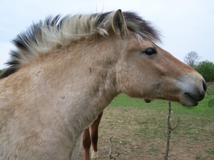 Photo de profil de claire61