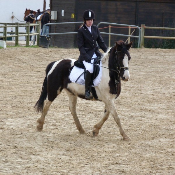 Photo de profil de nuitblue