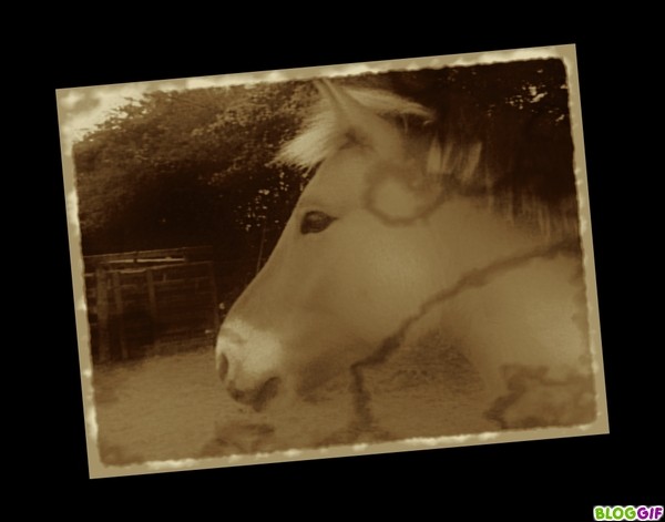 Photo de profil de lovedada12
