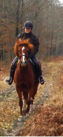 Photo de profil de narimoasis