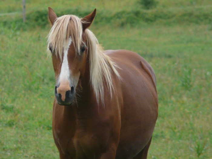 Photo de profil de selene13