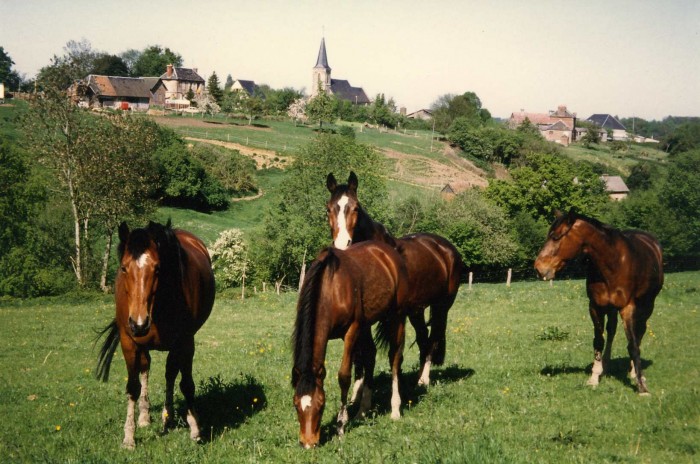 Photo de profil de quelmin