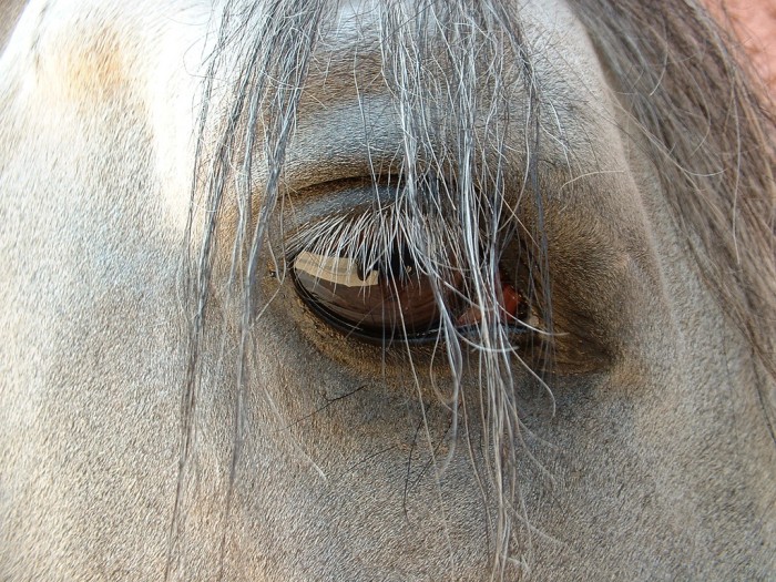 Photo de profil de cedricc