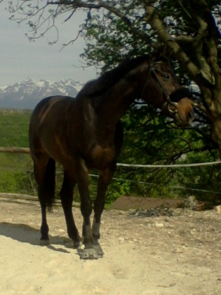 Photo de profil de maryne38