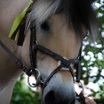 Photo de profil de camichou