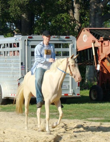 Photo de profil de ferdinandwills