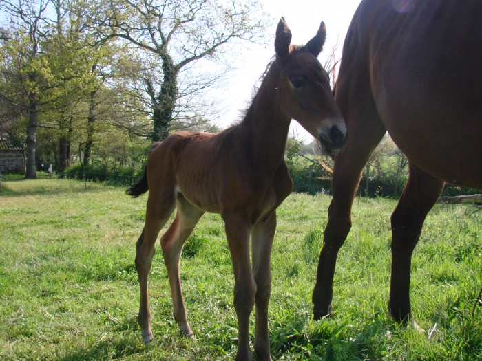 Photo de profil de regisetnelly