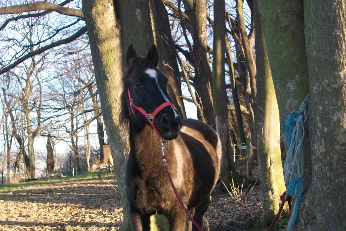 Photo de profil de larockeuz