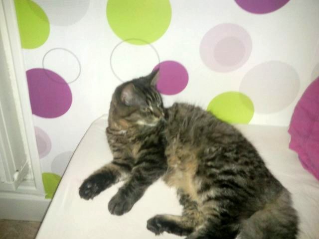 Photo de profil de sophie0802