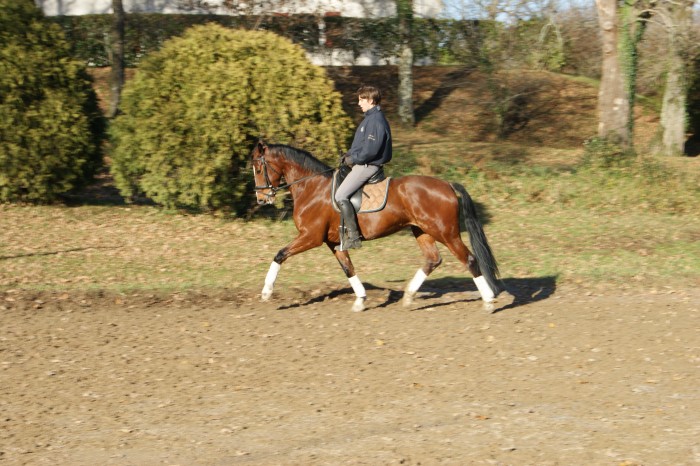 Photo de profil de perretp