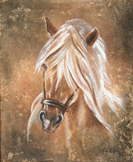 Photo de profil de equiberique66