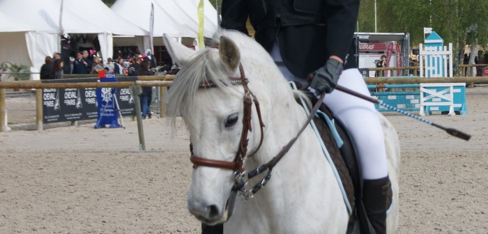 Photo de profil de chinchoune