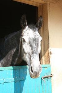 Photo de profil de witusettwisto