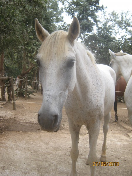 Photo de profil de xxpitchounexx