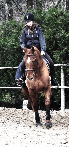 Photo de profil de camille.15