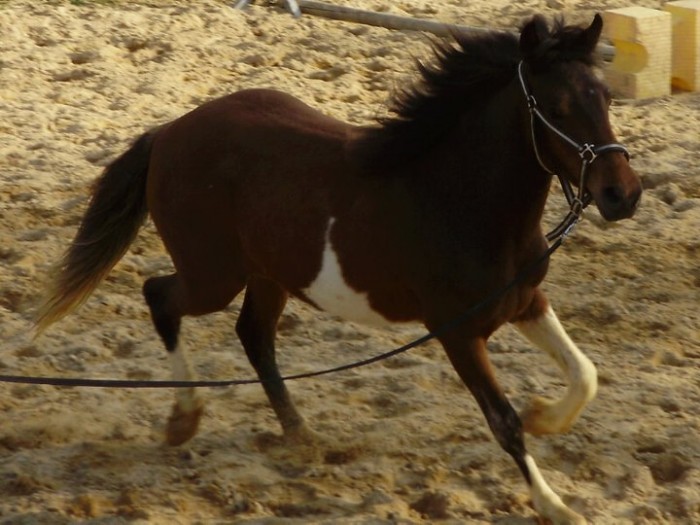 Photo de profil de vaness27330