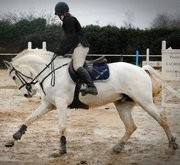 Photo de profil de sosoxjunco