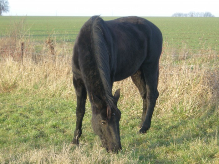 Photo de profil de gaminsonia