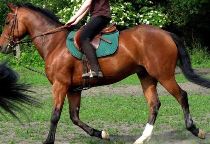 Photo de profil de lilasgaga