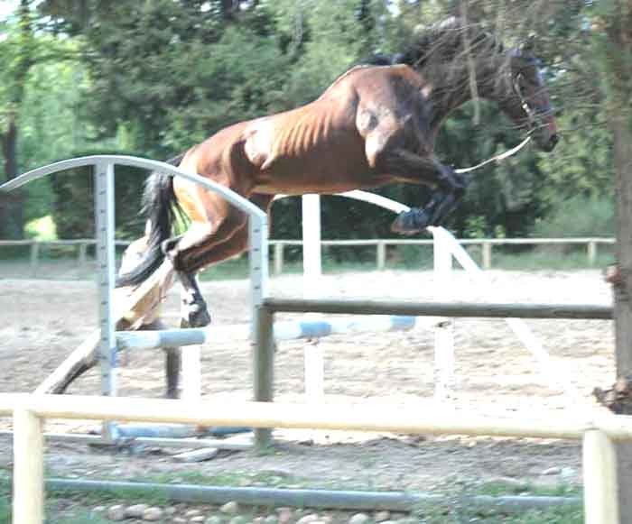 Photo de profil de smalou