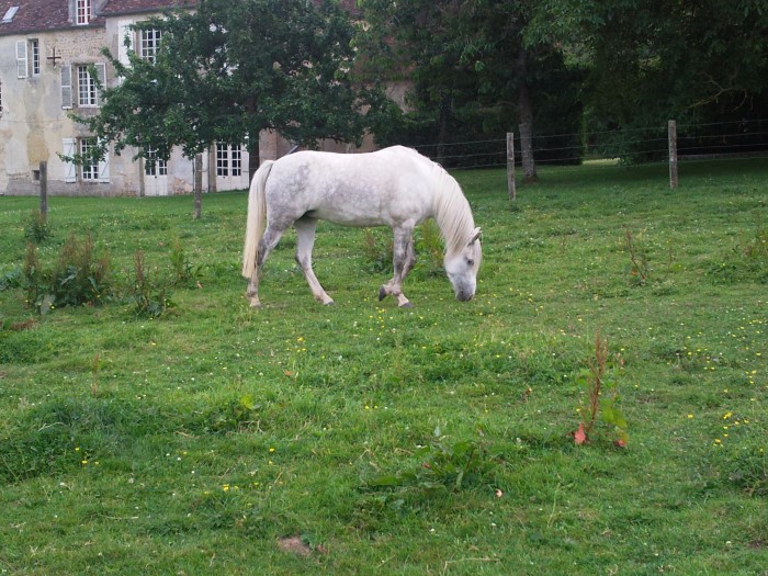 Photo de profil de zeynep61