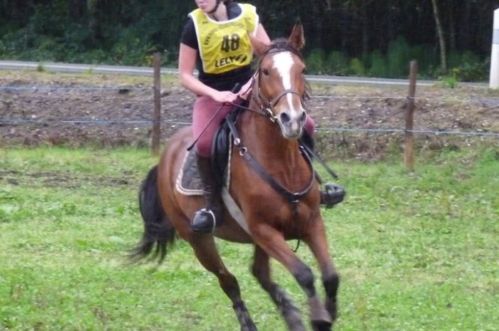 Photo de profil de neliacaca