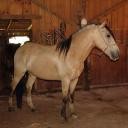 Photo de profil de poitevin86