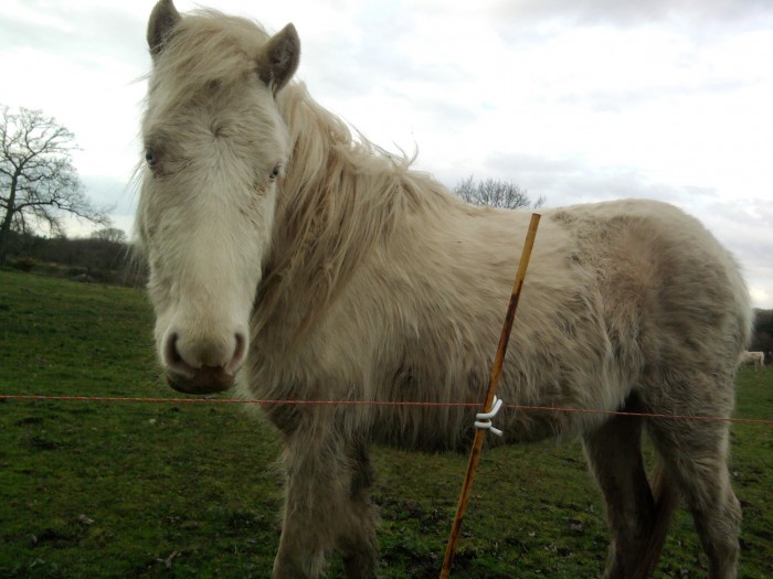 Photo de profil de orixvenus