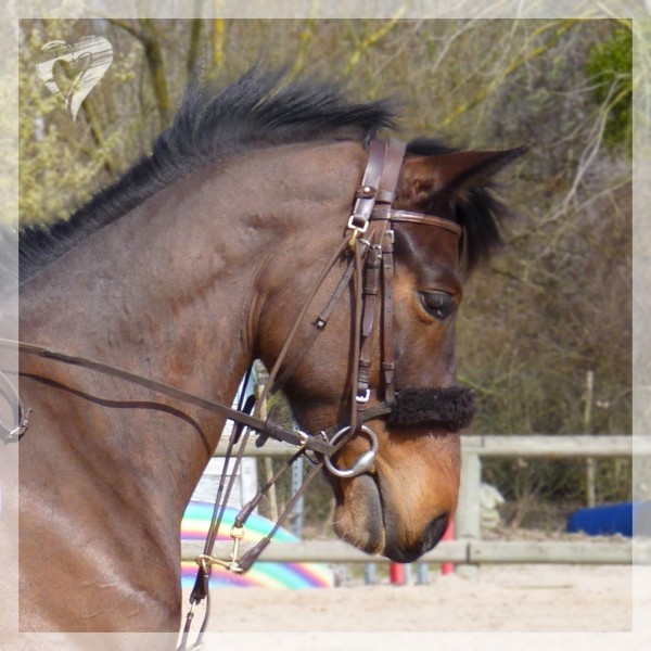 Photo de profil de fanny93