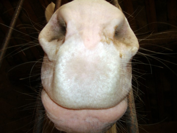 Photo de profil de dusel