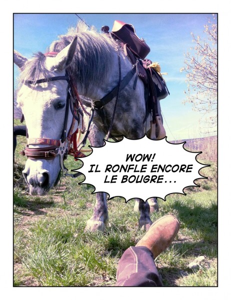 Photo de profil de goalie56