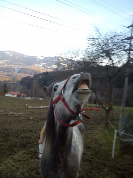 Photo de profil de lilou88