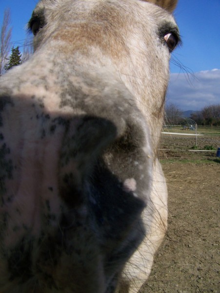 Photo de profil de zenattitude