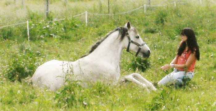 Photo de profil de pelladian