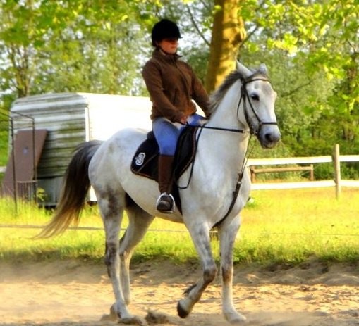 Photo de profil de flo41