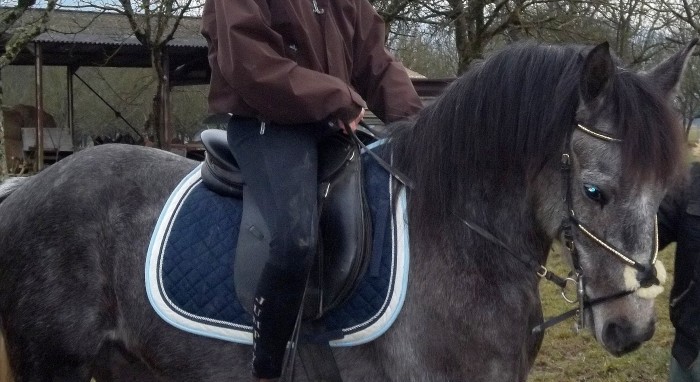 Photo de profil de biboush